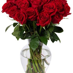 Benchmark Bouquets 2 Dozen Red Roses, With Vase (Fresh Cut Flowers)