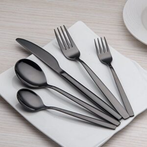 Berglander 20 Piece Titanium Black Plated Stainless Steel Flatware Set, 20 Pieces Black Silverware Set, Black Cutlery Set, Service for 4 (shiny Black)