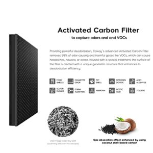 Coway Airmega 400/400S Air Purifier Replacement Filter Set, Max 2 Green True HEPA and Active Carbon Filter, AP-2015-FP