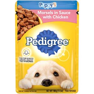 pedigree puppy soft wet dog food morsels in sauce with chicken, 3.5 oz pouches, 16 pack