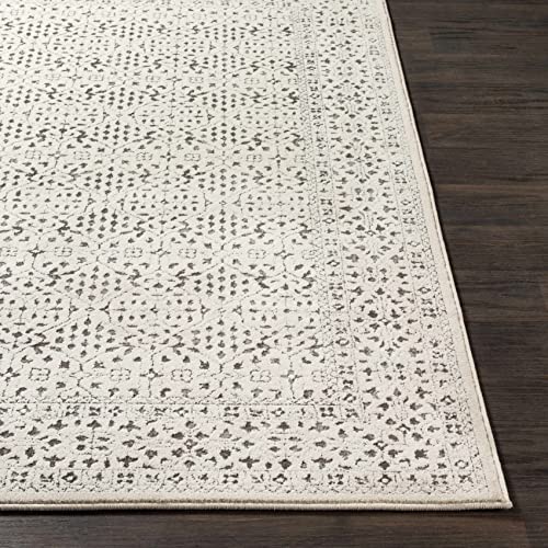 Sattley Modern Farmhouse Living Room Bedroom Dining Room Area Rug - Transitional Bohemian Carpet - Non Shed, Stain Resistant - Beige, Grey, Black, Cream, Ivory - 5'3" x 7'3"