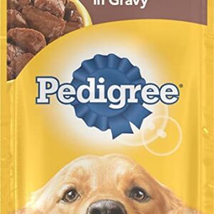 Pedigree Dog Food Wet Bundle,Choice cuts in Gravy,Assorted Flavors Filet,Beef Chicken. Soft Dog Food.Total 10 Pouches,Plus a 01 Nature's Choice Pressed Bone 01 ILC Buy Magnets Fridge. 3.5 Ounce