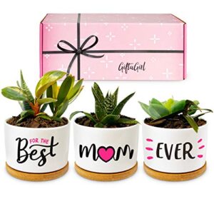 giftagirl mothers day or birthday gifts for mom – pretty best mom ever mothers day plants pots are beautiful mothers day gardening gifts for mom, the best presents and arrive beautifully gift boxed