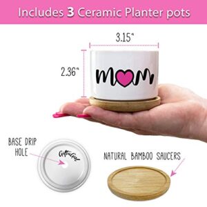 GIFTAGIRL Mothers Day or Birthday Gifts for Mom - Pretty Best Mom Ever Mothers Day Plants Pots are Beautiful Mothers Day Gardening Gifts for Mom, The Best Presents and Arrive Beautifully Gift Boxed