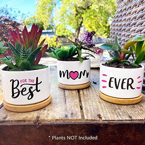 GIFTAGIRL Mothers Day or Birthday Gifts for Mom - Pretty Best Mom Ever Mothers Day Plants Pots are Beautiful Mothers Day Gardening Gifts for Mom, The Best Presents and Arrive Beautifully Gift Boxed