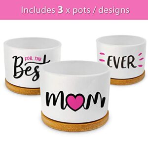 GIFTAGIRL Mothers Day or Birthday Gifts for Mom - Pretty Best Mom Ever Mothers Day Plants Pots are Beautiful Mothers Day Gardening Gifts for Mom, The Best Presents and Arrive Beautifully Gift Boxed