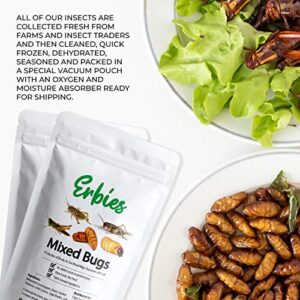 Erbies Edible Bugs Mixed Trail Mix, 15g Bag, Seasoned and Crunchy Insects, Crickets, Grasshoppers, Silkworm Pupae, and Sago Worms, Protein Packed Snack, Fun Gift Idea (1-Pack)