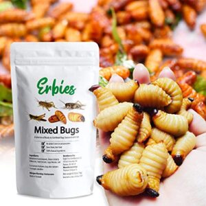 Erbies Edible Bugs Mixed Trail Mix, 15g Bag, Seasoned and Crunchy Insects, Crickets, Grasshoppers, Silkworm Pupae, and Sago Worms, Protein Packed Snack, Fun Gift Idea (1-Pack)