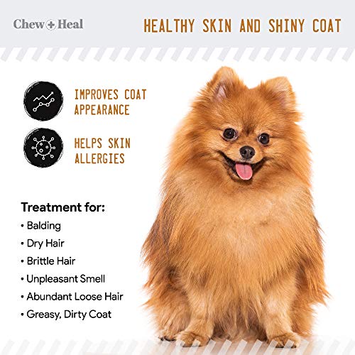 Chew + Heal Salmon Oil for Dogs - 180 Soft Chew Omega Treats for Skin and Coat - Fish Oil Blend of Essential Fatty Acids, Omega 3, 6, and 9, Vitamins, Antioxidants and Minerals - Made in USA