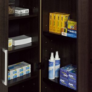 Sauder HomePlus Collection Storage Cabinet, Dakota Oak finish