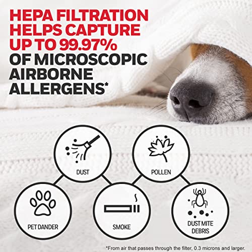 Honeywell HEPA Air Purifier Filter Kit – Includes 3 HEPA R Replacement Filters and 4 A Carbon Pre-Cut Pre-Filters – Airborne Allergen Air Filter Targets Wildfire/Smoke, Pollen, Pet Dander, and Dust