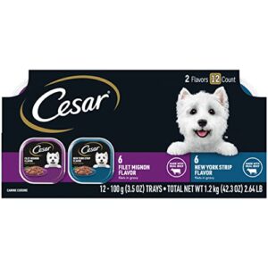 cesar adult soft wet dog food filets in gravy variety pack, filet mignon and new york strip flavors, 3.5 oz. – 12 trays (1-pack)