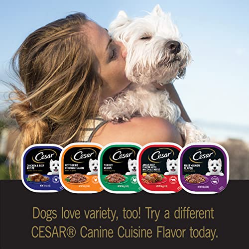 CESAR Adult Soft Wet Dog Food Filets in Gravy Variety Pack, Filet Mignon and New York Strip Flavors, 3.5 oz. - 12 Trays (1-Pack)