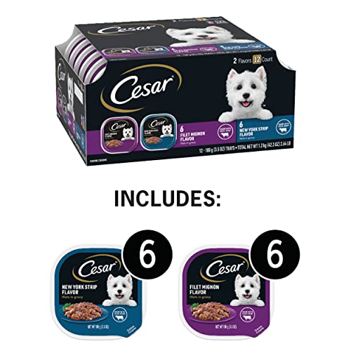 CESAR Adult Soft Wet Dog Food Filets in Gravy Variety Pack, Filet Mignon and New York Strip Flavors, 3.5 oz. - 12 Trays (1-Pack)