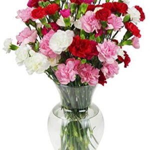 Benchmark Bouquets 20 stem Rainbow Mini Carnations, With Vase (Fresh Cut Flowers)