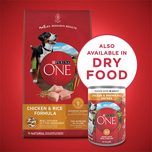 Purina ONE Tender Cuts In Wet Dog Food Gravy Chicken And Brown Rice Entree - (12) 13 Oz. Cans