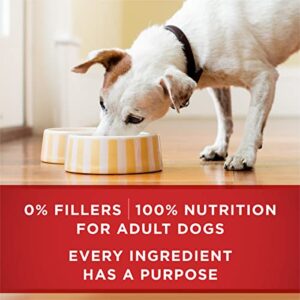 Purina ONE Tender Cuts In Wet Dog Food Gravy Chicken And Brown Rice Entree - (12) 13 Oz. Cans