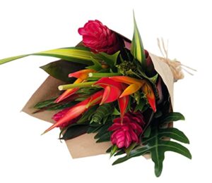 bloomsybox – tropical bouquet treasure with bright heliconias, pink ginger and tropical greenery (fresh cut flowers)