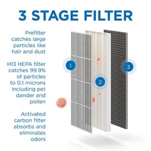Medify MA-40 Genuine Replacement Filter | for Allergens, Wildfire Smoke, Dust, Odors, Pollen, Pet Dander | 3 in 1 with Pre-filter, H13 HEPA, and Activated Carbon for 99.9% Removal | 1-Pack