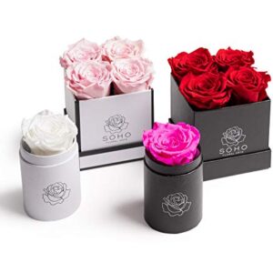 Soho Floral Arts | Roses in A Box | Genuine Roses that Last for Years (White Square 4ct, Radiant Pink) | Mothers Day Gifts