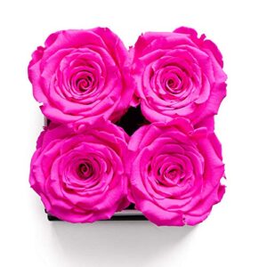 Soho Floral Arts | Roses in A Box | Genuine Roses that Last for Years (White Square 4ct, Radiant Pink) | Mothers Day Gifts