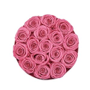 Eterfield Preserved Roses That Last a Year Eternal Rose in a Box Real Rose without Fragrance Gift for Her (Pink Rose, Round White Box)