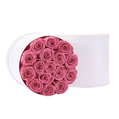 Eterfield Preserved Roses That Last a Year Eternal Rose in a Box Real Rose without Fragrance Gift for Her (Pink Rose, Round White Box)