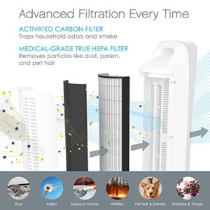 Pure Enrichment Genuine 2-in-1 True HEPA Replacement Filter for the PureZone Elite 4-in-1 Air Purifier - 2 Pack (PEAIRTWR)