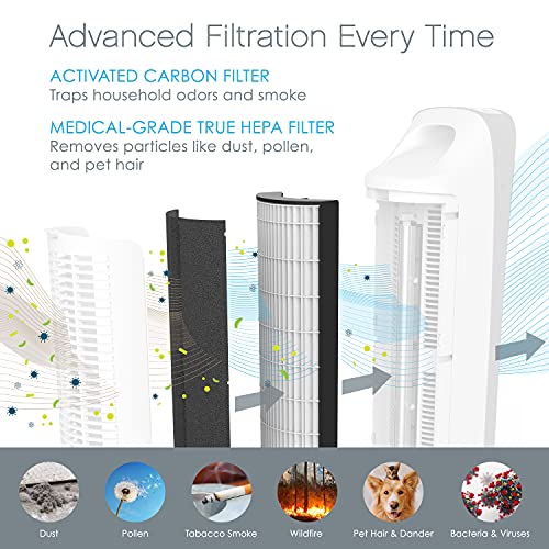 Pure Enrichment Genuine 2-in-1 True HEPA Replacement Filter for the PureZone Elite 4-in-1 Air Purifier - 2 Pack (PEAIRTWR)