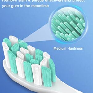 Toothbrush Replacement Heads for Philips Sonicare ProtectiveClean DailyClean Electric Toothbrush Head 1 2 Series Plaque Control Gum 4100 5100 C1 C2 G2 HX9023 Snap-on, 10 Pack