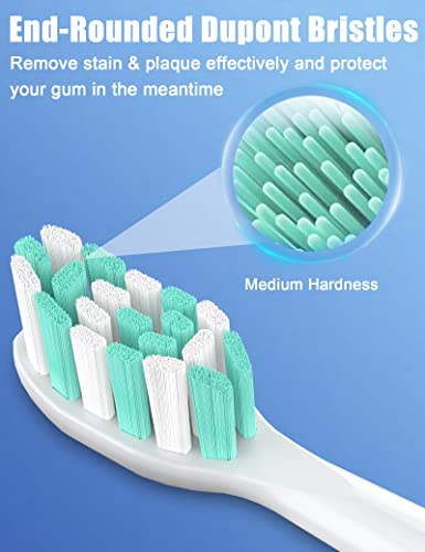 Toothbrush Replacement Heads for Philips Sonicare ProtectiveClean DailyClean Electric Toothbrush Head 1 2 Series Plaque Control Gum 4100 5100 C1 C2 G2 HX9023 Snap-on, 10 Pack