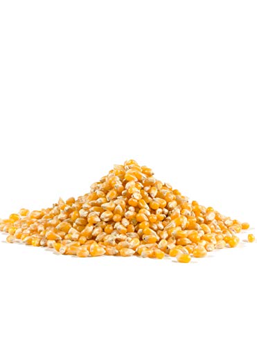 Bob's Red Mill Whole Yellow Popcorn, 30-ounce (Pack of 4)