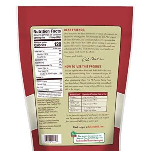 Bob's Red Mill Resealable Gluten Free All Purpose Baking Flour, 22 Ounce (Pack of 2)