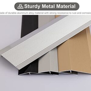 Transition Strip Metal Threshold Strip for Carpet to Floor, Black Non-Slip Edging Trim Strips for Uneven Floors/Vinyl Planks/Wood to Tile, Easy to Install