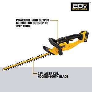 DEWALT 20V MAX* Cordless Hedge Trimmer, 5.0 Ah, 22-Inch (DCHT820P1)