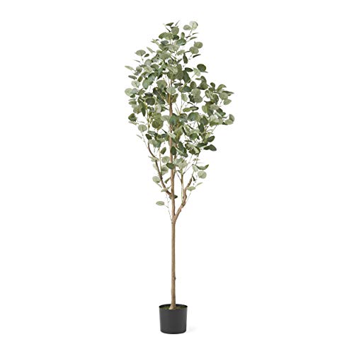 Christopher Knight Home Artificial Plants, 6 ft x 2.5 ft, Green + Black