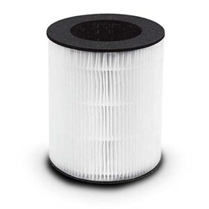 homedics totalclean 3-in-1 hepa-type filter replacement for air purifiers, works with homedics ap-t20 and ap-t20wt air purifiers, removes up to 99% airborne particles as small as 0.3 microns