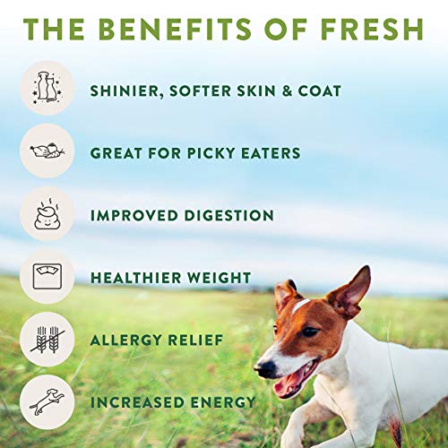 Freshpet Healthy & Natural Food for Small Dogs/Breeds, Fresh Grain Free Chicken Recipe, 1lb