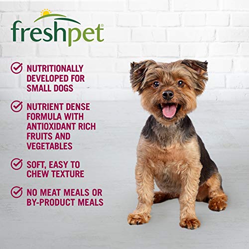 Freshpet Healthy & Natural Food for Small Dogs/Breeds, Fresh Grain Free Chicken Recipe, 1lb