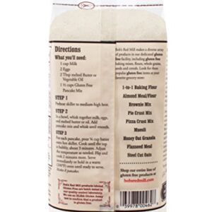 Bob's Red Mill Gluten Free Pancake Mix, 22-ounce (Pack of 4)