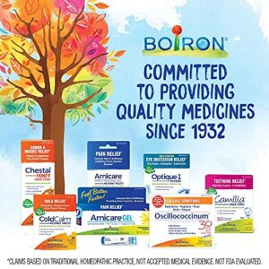 Boiron NauseaCalm Relief for Upset Stomach, Nausea, and Vomiting Due to Stomach Flu, Overindulgence, or Motion Sickness - Non-Drowsy - 60 Count