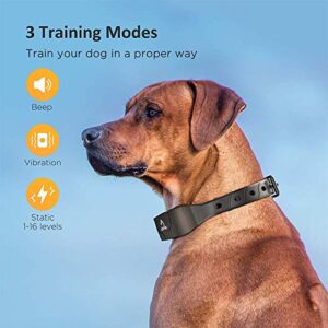 Patpet Dog Training Collar with Remote - Shock Collar for Large Dogs, IPX7 Waterproof Training Collar with Beep, Vibration, Shock Modes