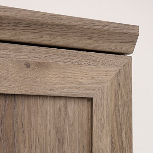 Sauder HomePlus Storage Cabinet, Salt Oak finish