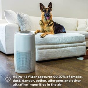 Instant HEPA Quiet Air Purifier, From the Makers of Instant Pot with Plasma Ion Technology for Rooms up to 1,940ft2, removes 99% of Dust, Smoke, Odors, Pollen & Pet Hair, for Bedrooms, Offices, Pearl