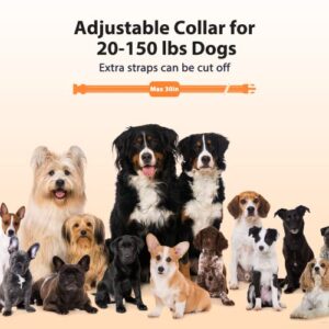 PATPET Dog Training Collar - IP67 Waterproof Dog Shock Collar with Remote for Small Medium Large Dogs, Rechargeable Shock Collar with Beep Vibration Shock Modes