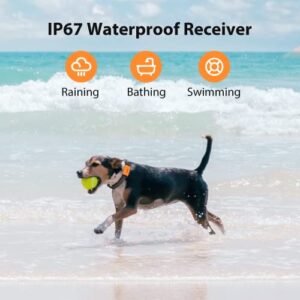 PATPET Dog Training Collar - IP67 Waterproof Dog Shock Collar with Remote for Small Medium Large Dogs, Rechargeable Shock Collar with Beep Vibration Shock Modes