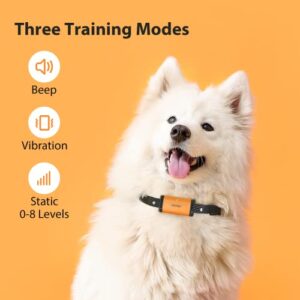 PATPET Dog Training Collar - IP67 Waterproof Dog Shock Collar with Remote for Small Medium Large Dogs, Rechargeable Shock Collar with Beep Vibration Shock Modes