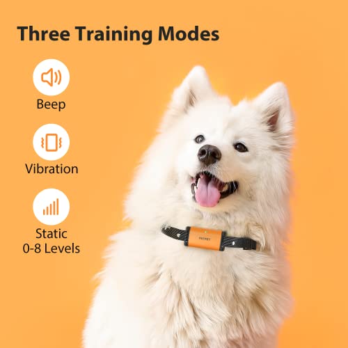 PATPET Dog Training Collar - IP67 Waterproof Dog Shock Collar with Remote for Small Medium Large Dogs, Rechargeable Shock Collar with Beep Vibration Shock Modes