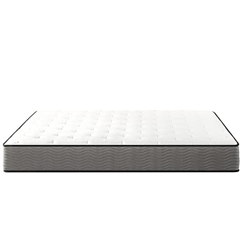 ZINUS 10 Inch Support Plus Pocket Spring Hybrid Mattress / Extra Firm Feel / Heavier Coils for Durable Support / Pocket Innersprings for Motion Isolation / Mattress-in-a-Box, Queen