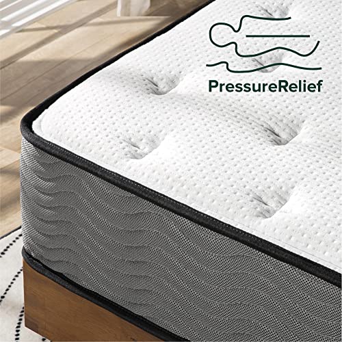 ZINUS 10 Inch Support Plus Pocket Spring Hybrid Mattress / Extra Firm Feel / Heavier Coils for Durable Support / Pocket Innersprings for Motion Isolation / Mattress-in-a-Box, Queen